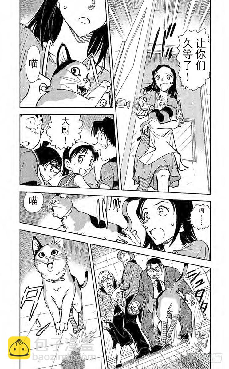 FILE.5 扮猫吃老虎2