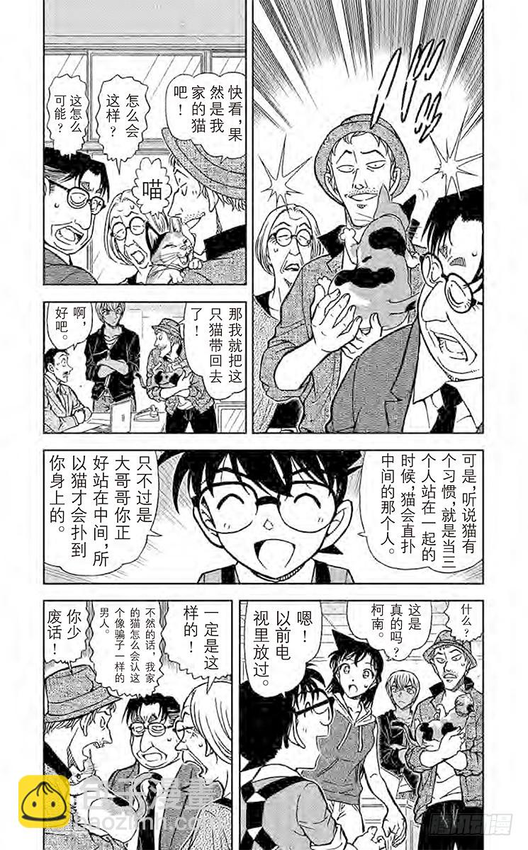 FILE.5 扮猫吃老虎3