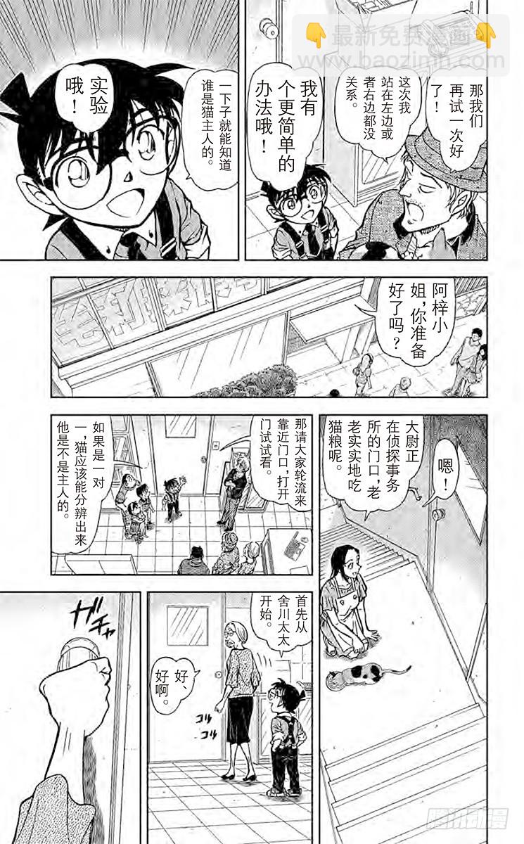 FILE.5 扮猫吃老虎4