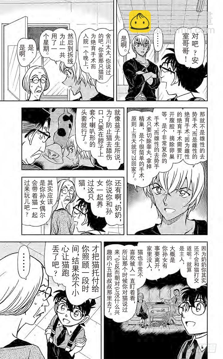FILE.5 扮猫吃老虎6