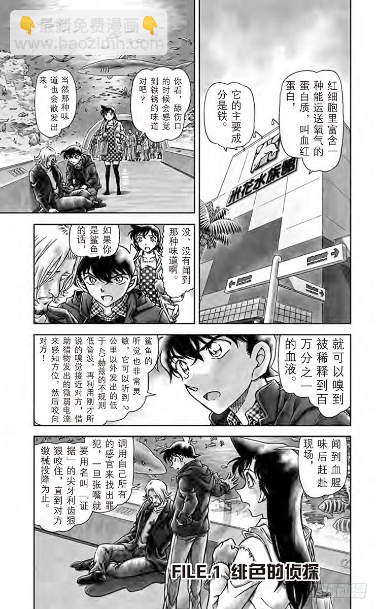 第84卷FILE.1 绯色的侦探4