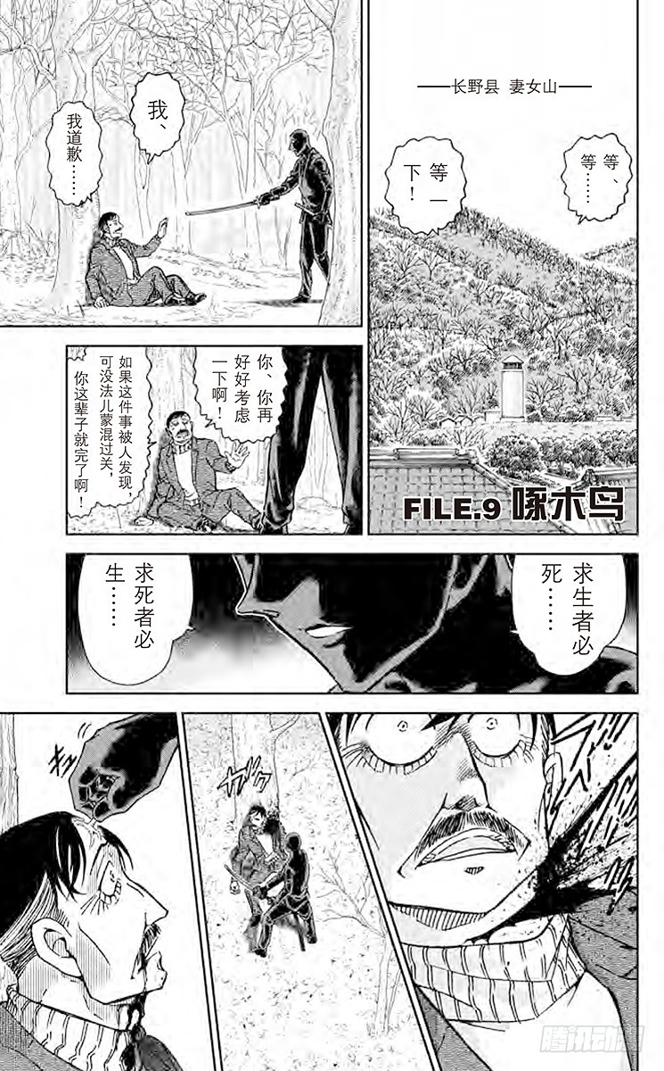 FILE.9 啄木鸟0