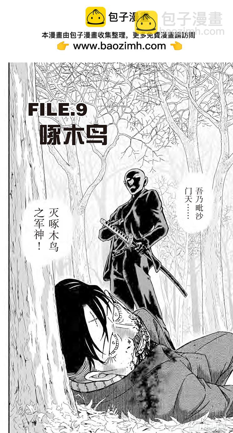FILE.9 啄木鸟1