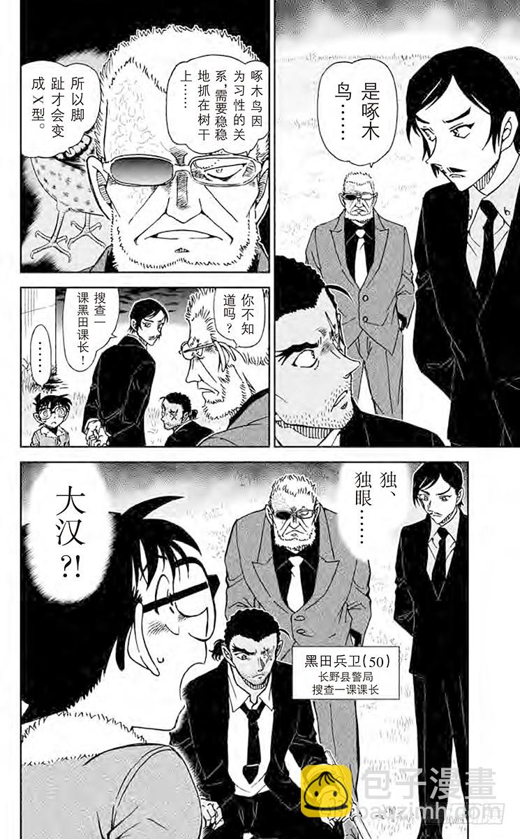 FILE.9 啄木鸟15