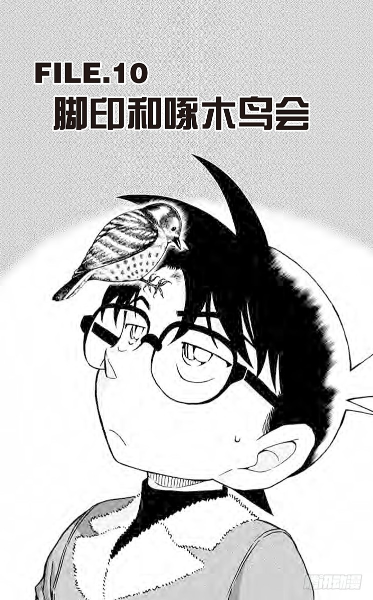 FILE.10 脚印和啄木鸟会0