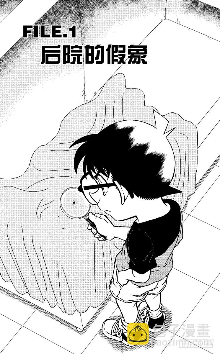 第88卷FILE.1 后院的假象4