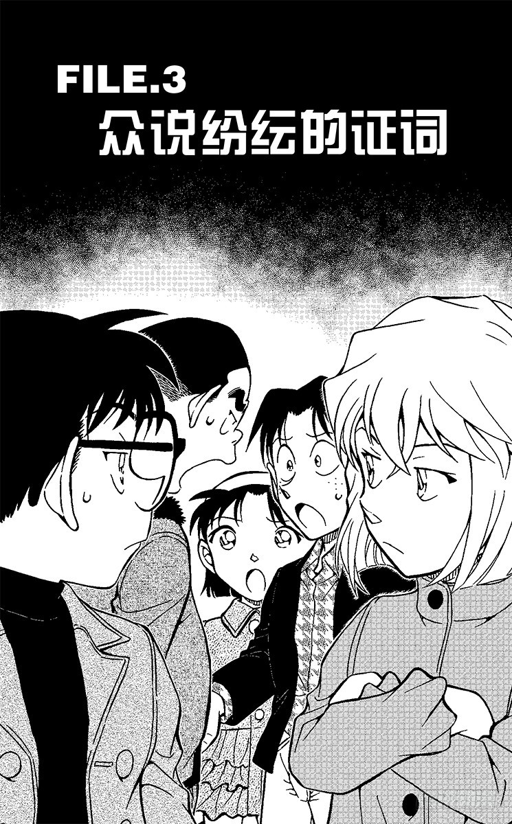 FILE.3 众说纷纭的证词0