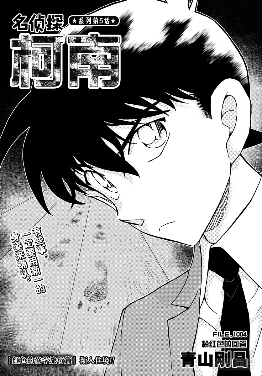 FILE.1004 粉红色的回答0