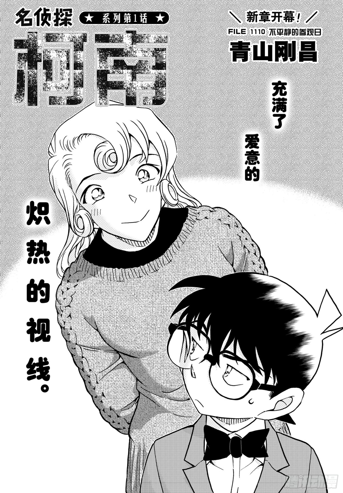 FILE.1110 不平静的参0