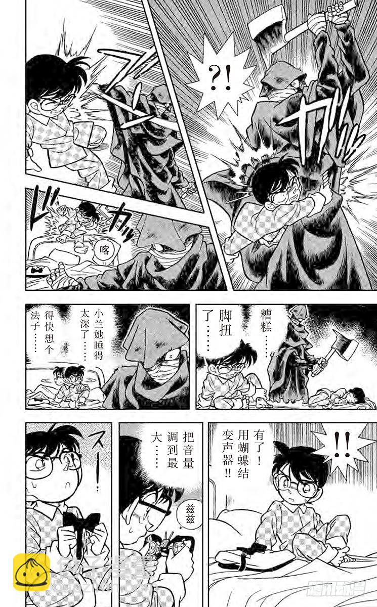 FILE.3 面临危机的小兰11