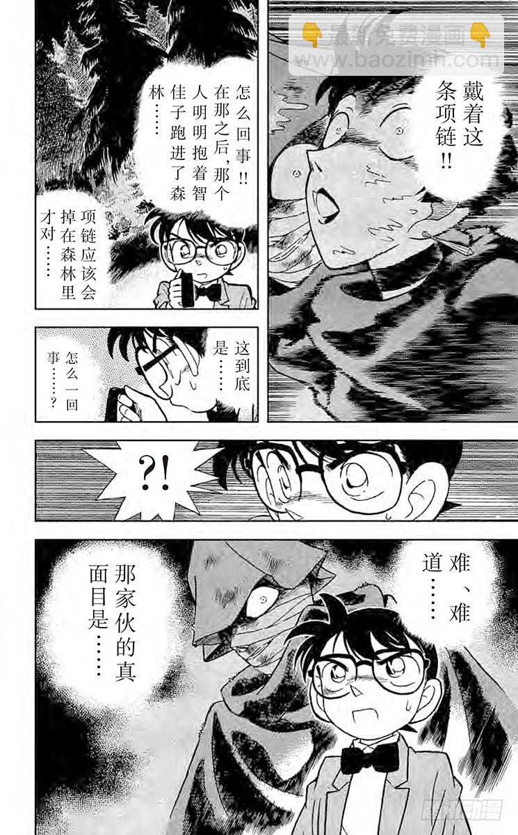 FILE.3 面临危机的小兰15