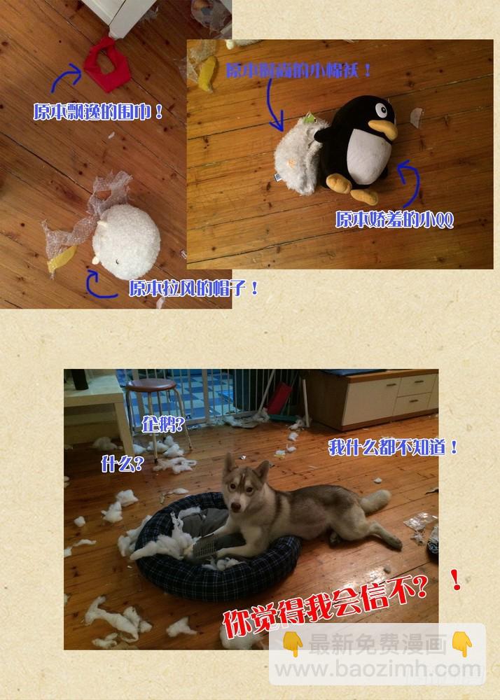 总081·你为何要来！（下）11