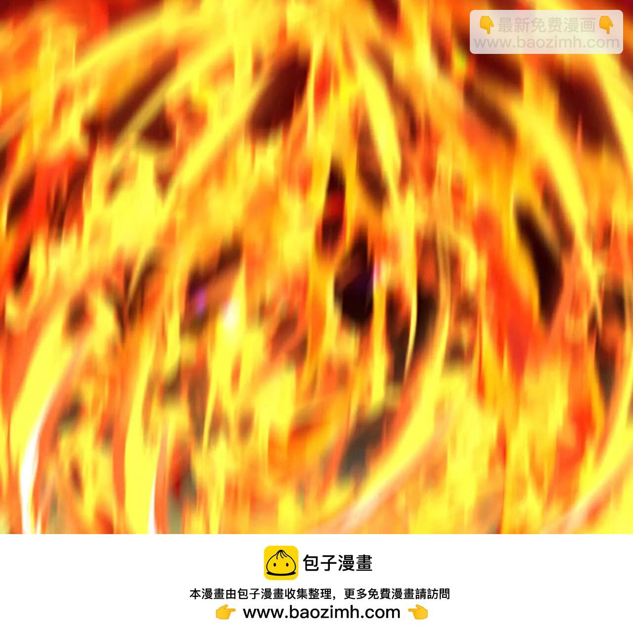 第868话 解救青云，揍服凤凰53