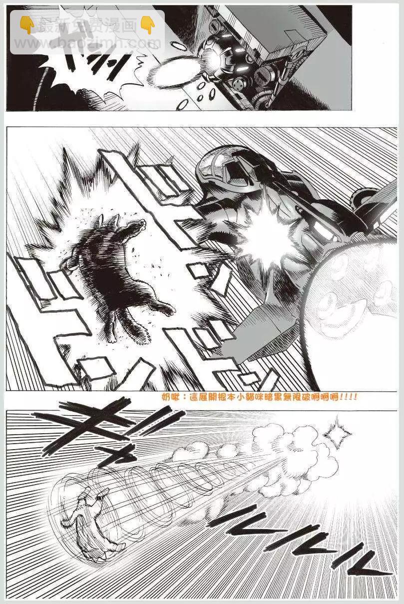 可爱的野猫10
