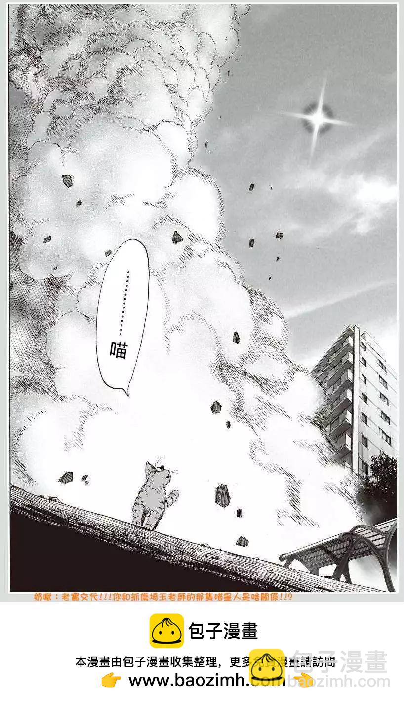 可爱的野猫12