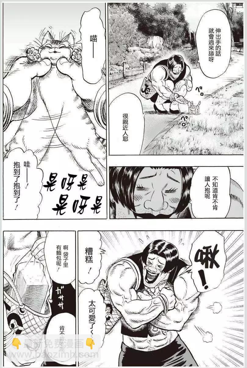 可爱的野猫2