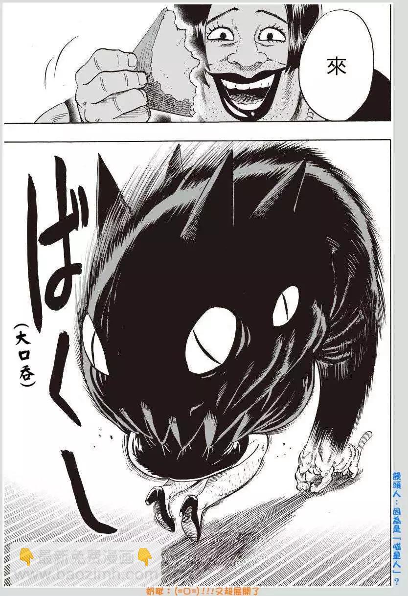 可爱的野猫3