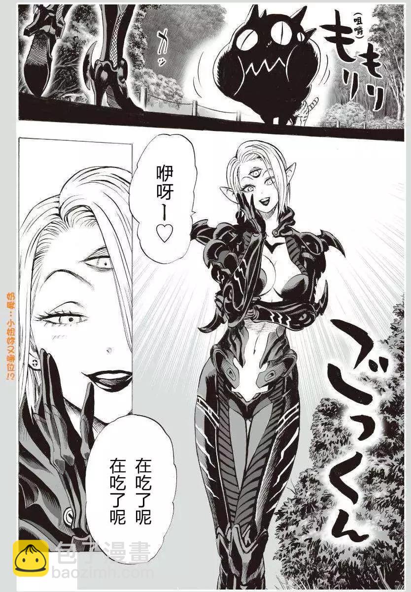 可爱的野猫4