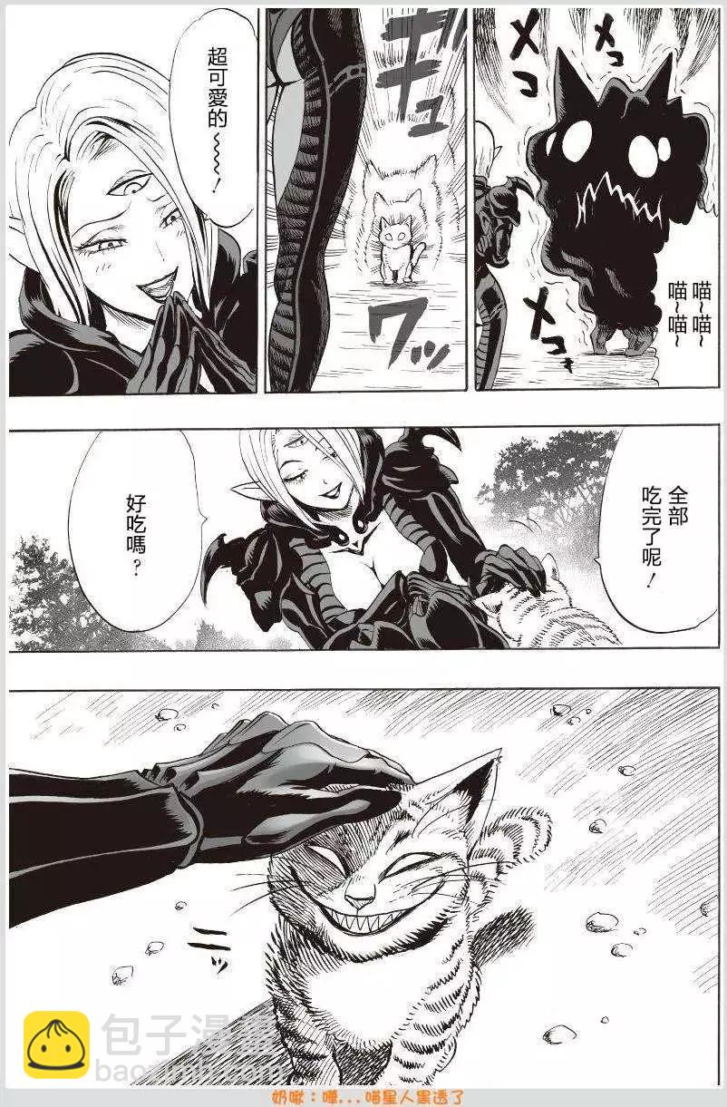 可爱的野猫5
