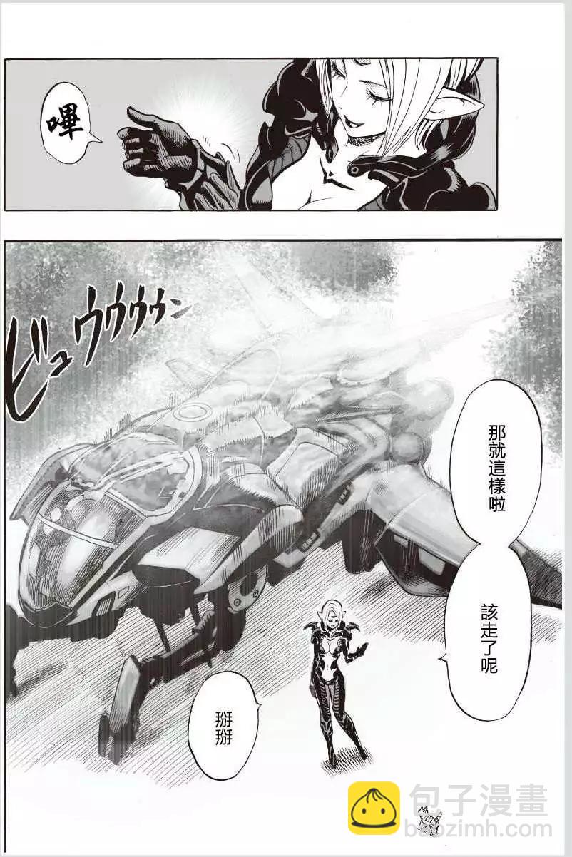 可爱的野猫6