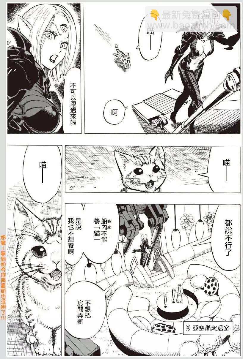 可爱的野猫7
