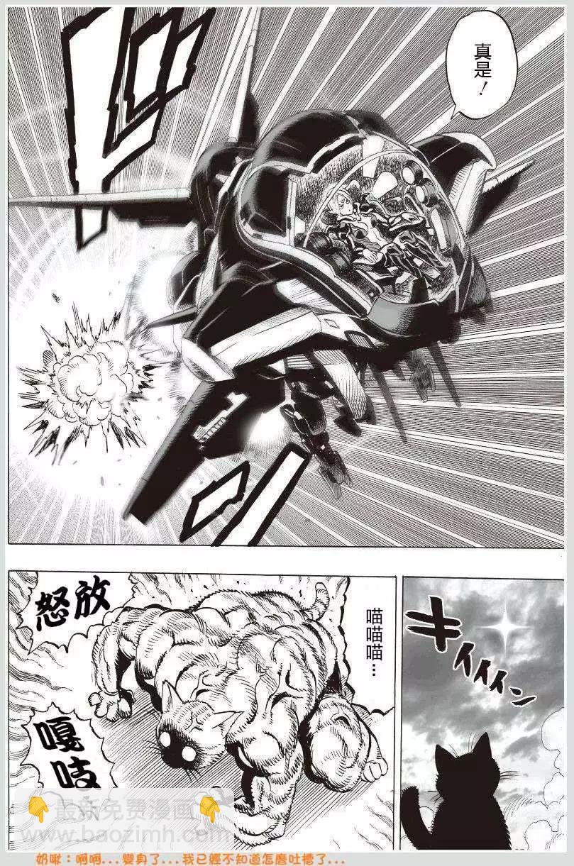 可爱的野猫8