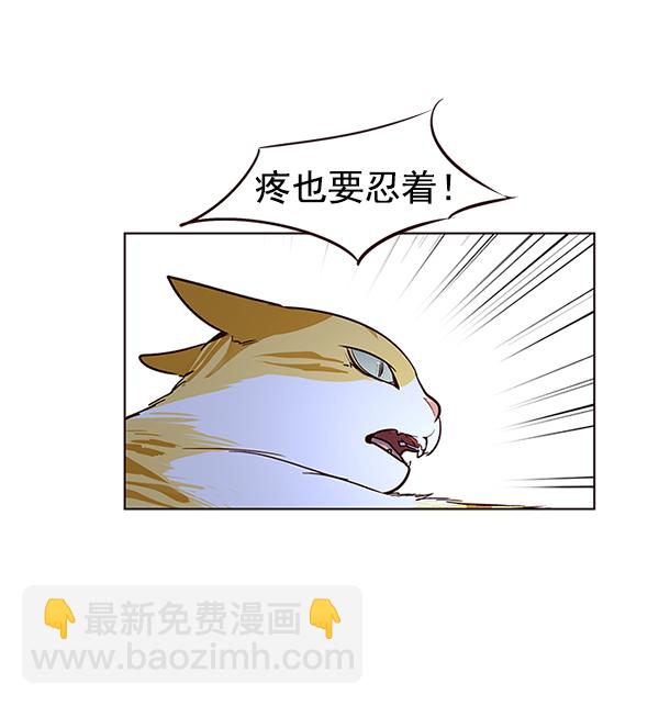 第8话104