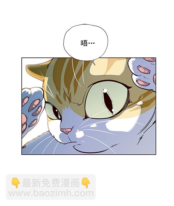 第13话1