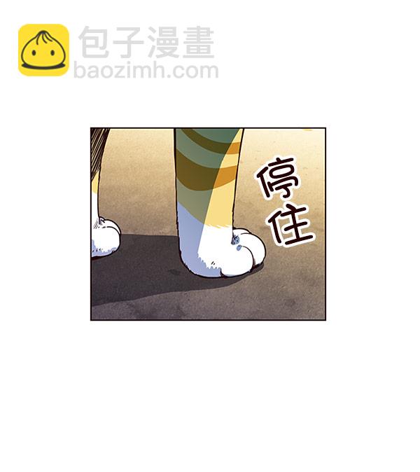 第13话5