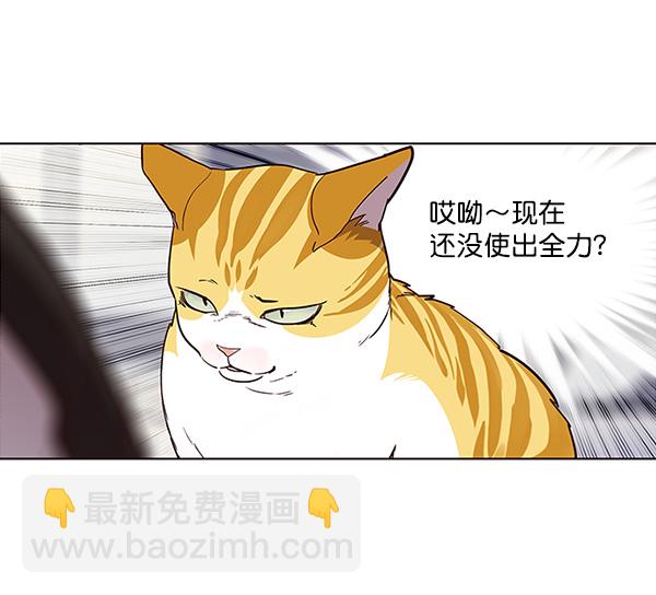 第26话24