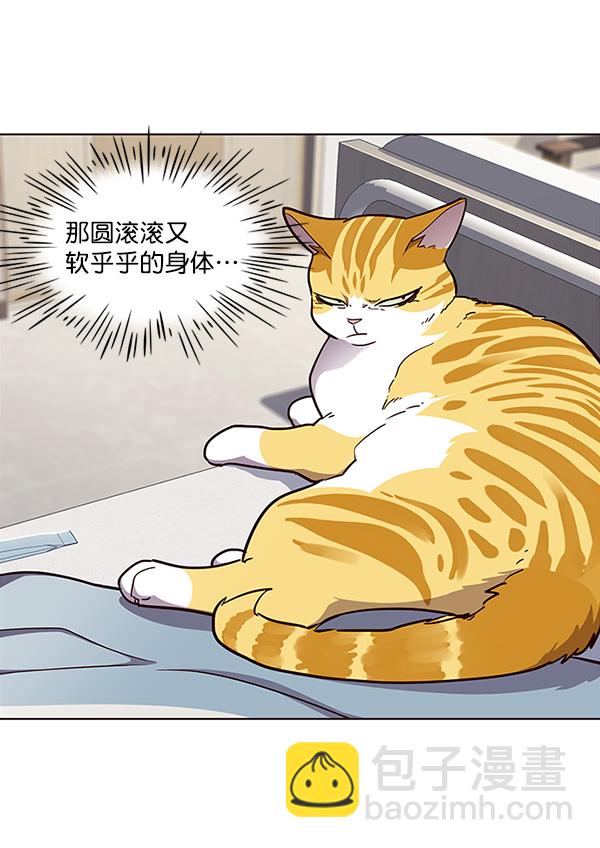 第28话43