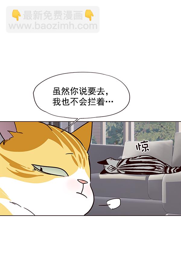 第37话36