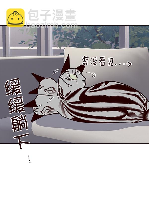 第37话41