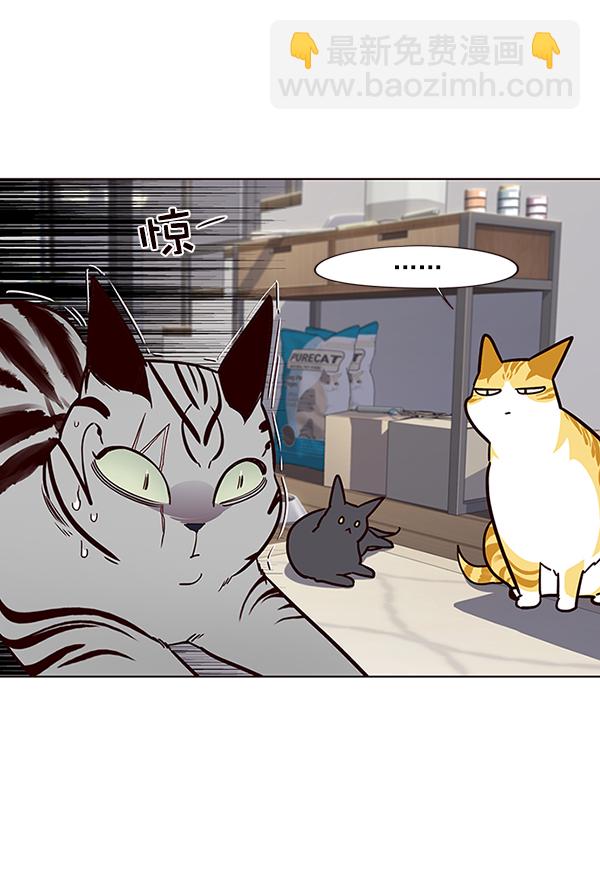 第37话51