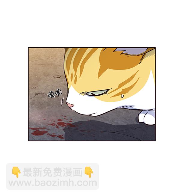 第41话66