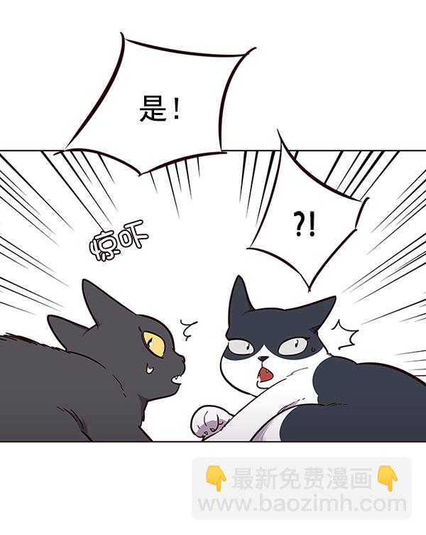 第50话23