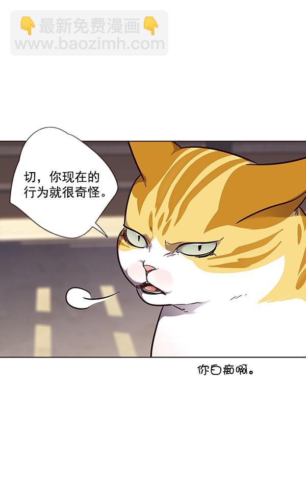 第50话37