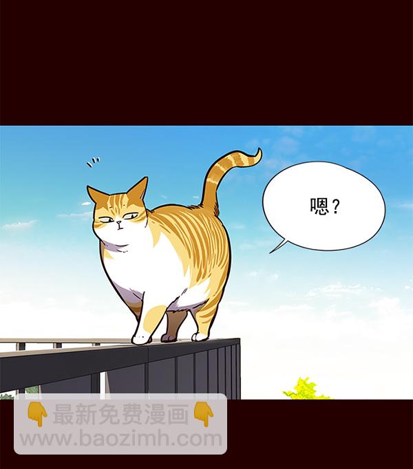 第52话41