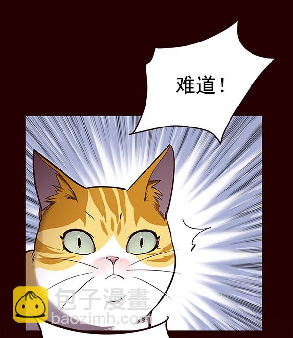 第52话44