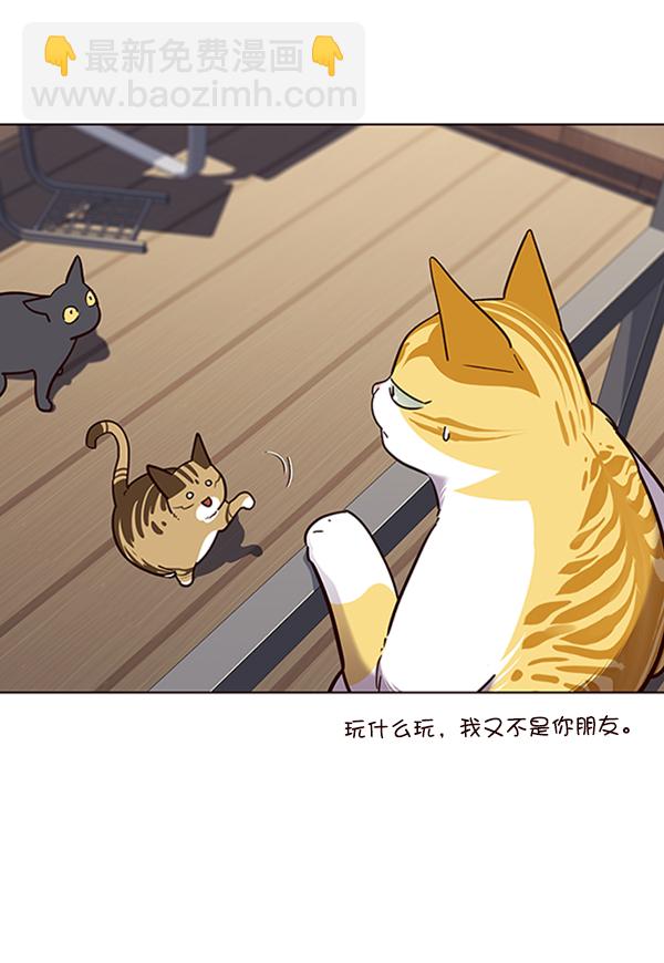 第55话26