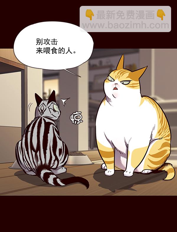 第67话44