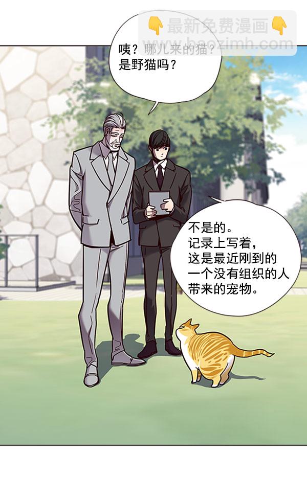 第71话96
