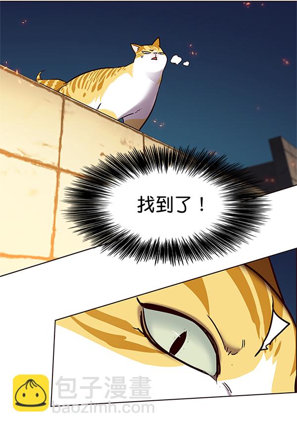 第110话75