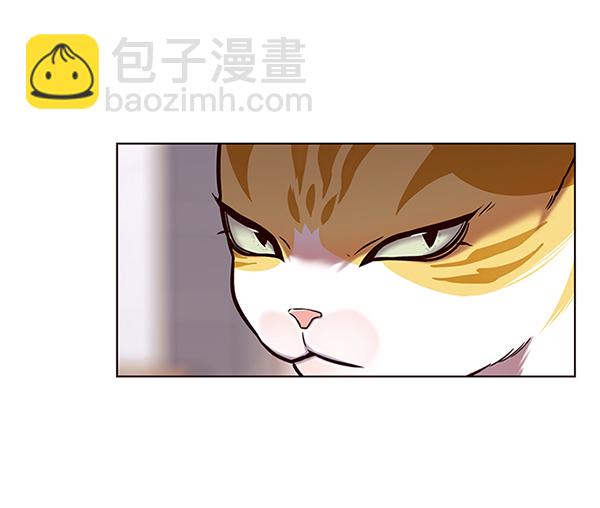 第117话22