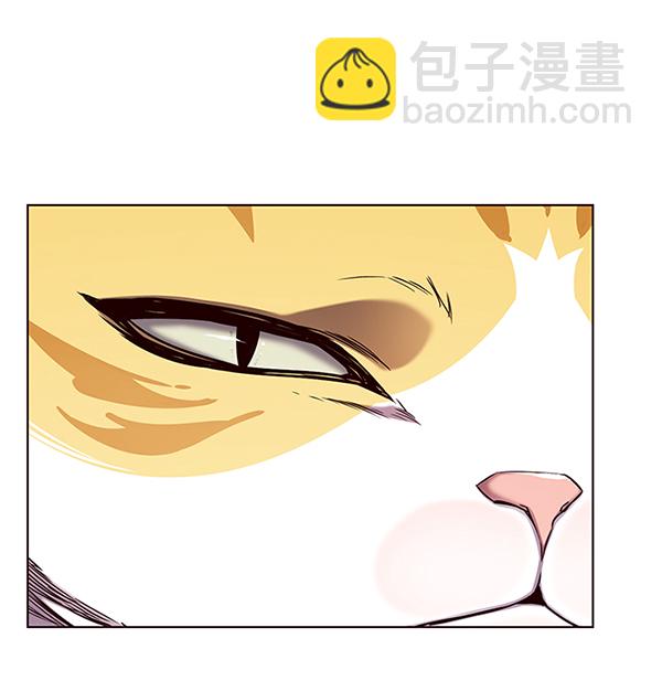 第146话60