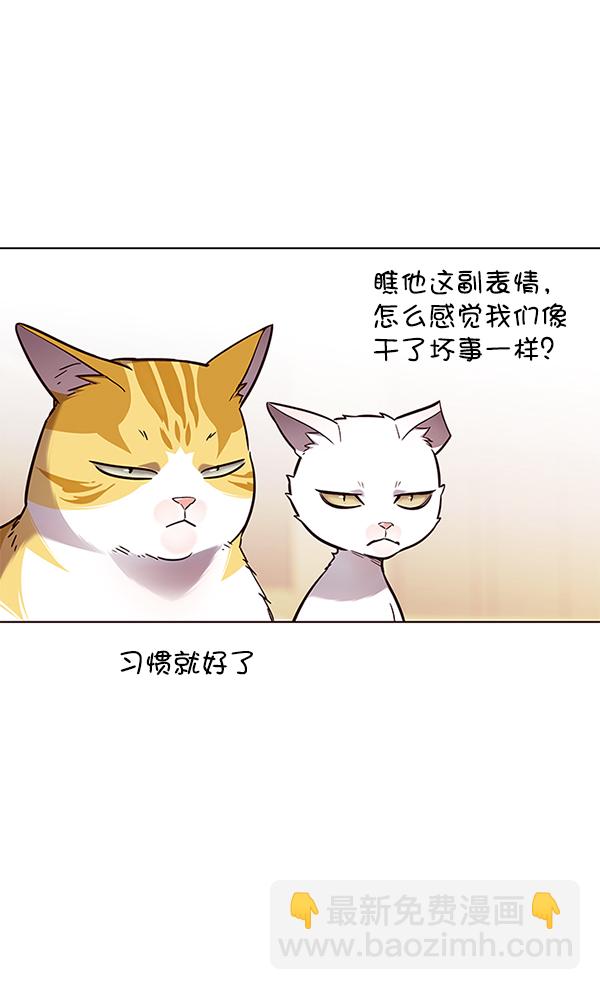 第146话84