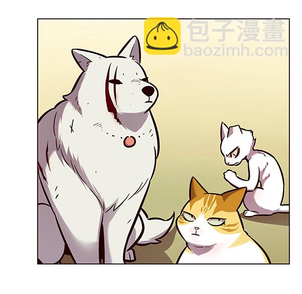 第162话31