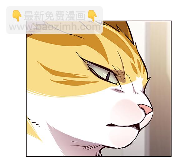 第164话33