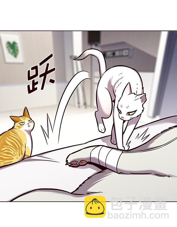 第166话14