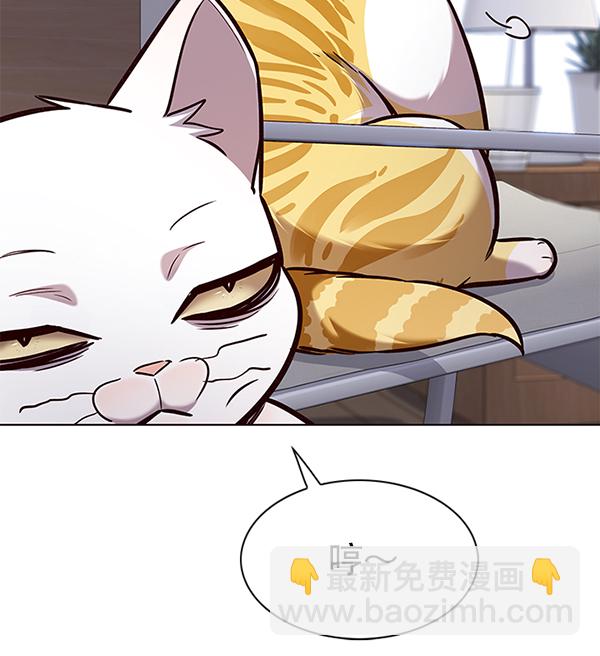 第187话11